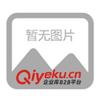 登峰|電磁式計數器|CSK4-YKW